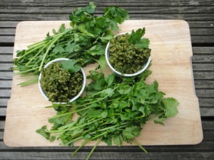 day 5 green rice cilantro parsley 