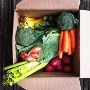 The Organic Delivery Company veg and fruit box